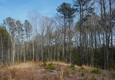 953 Church Hill pic2