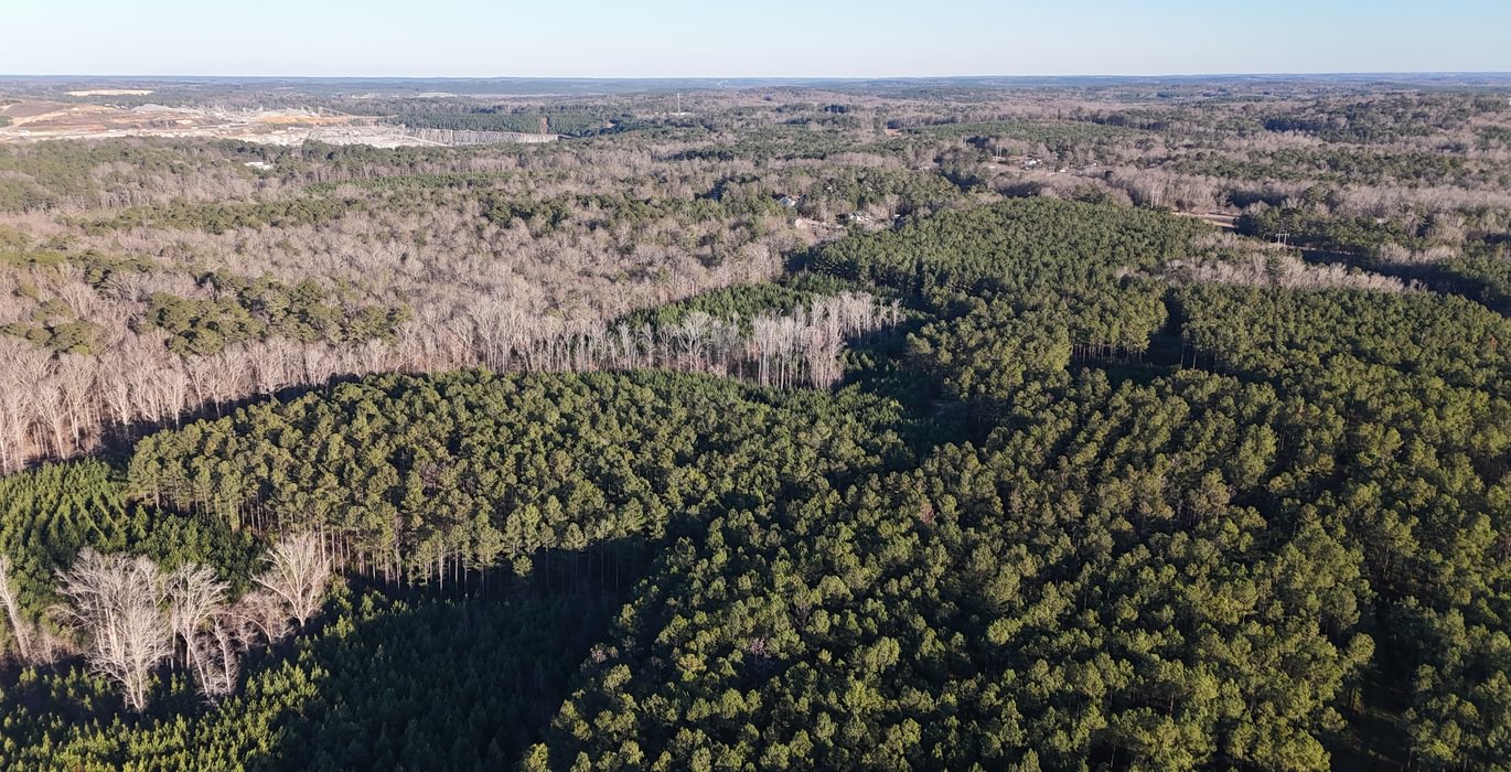 953 DJI 20260115164835 0111 D