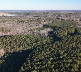 953 DJI 20260115164835 0111 D