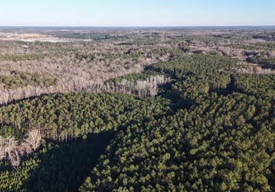 953 DJI 20260115164835 0111 D