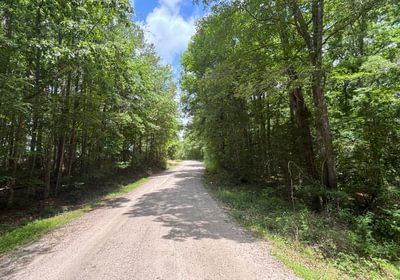 955 IMG 4034