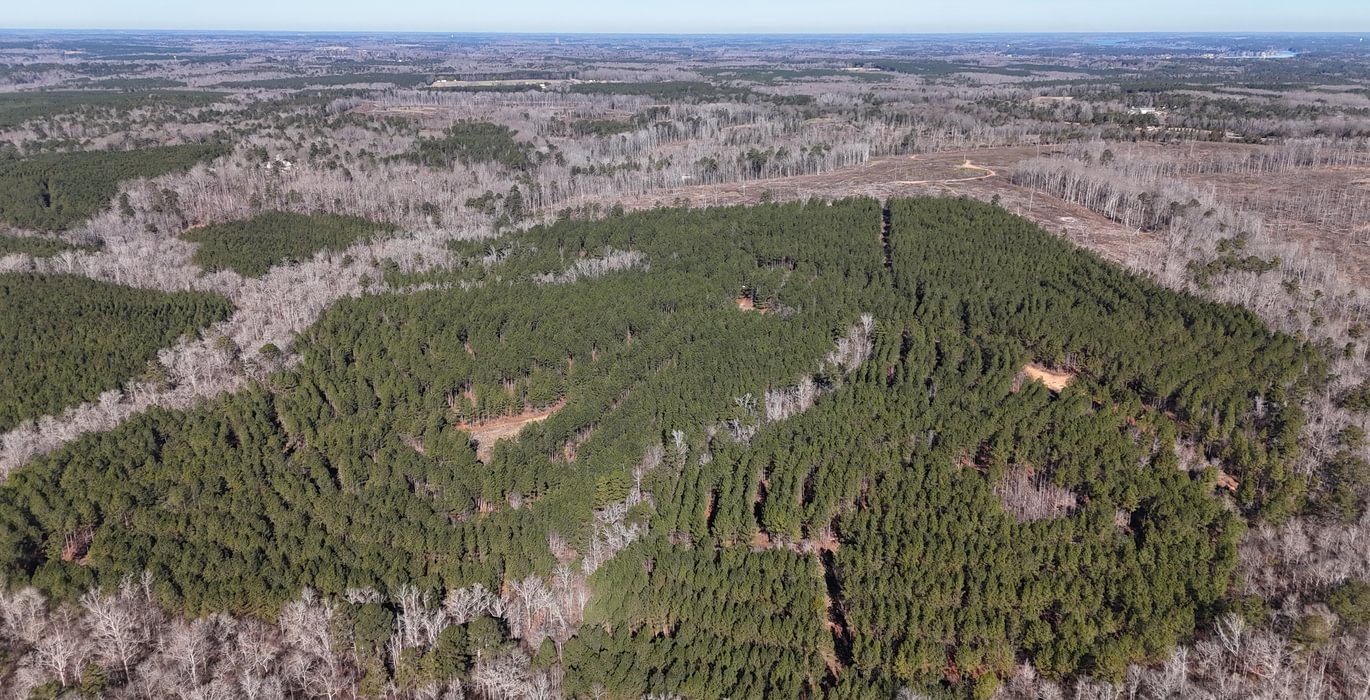 956 DJI 20260212102909 0034 D