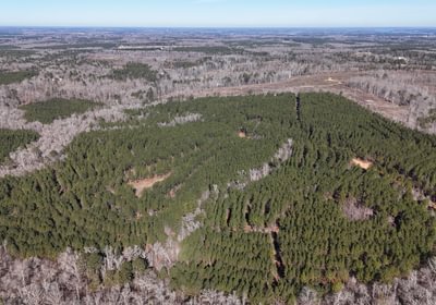 956 DJI 20260212102909 0034 D