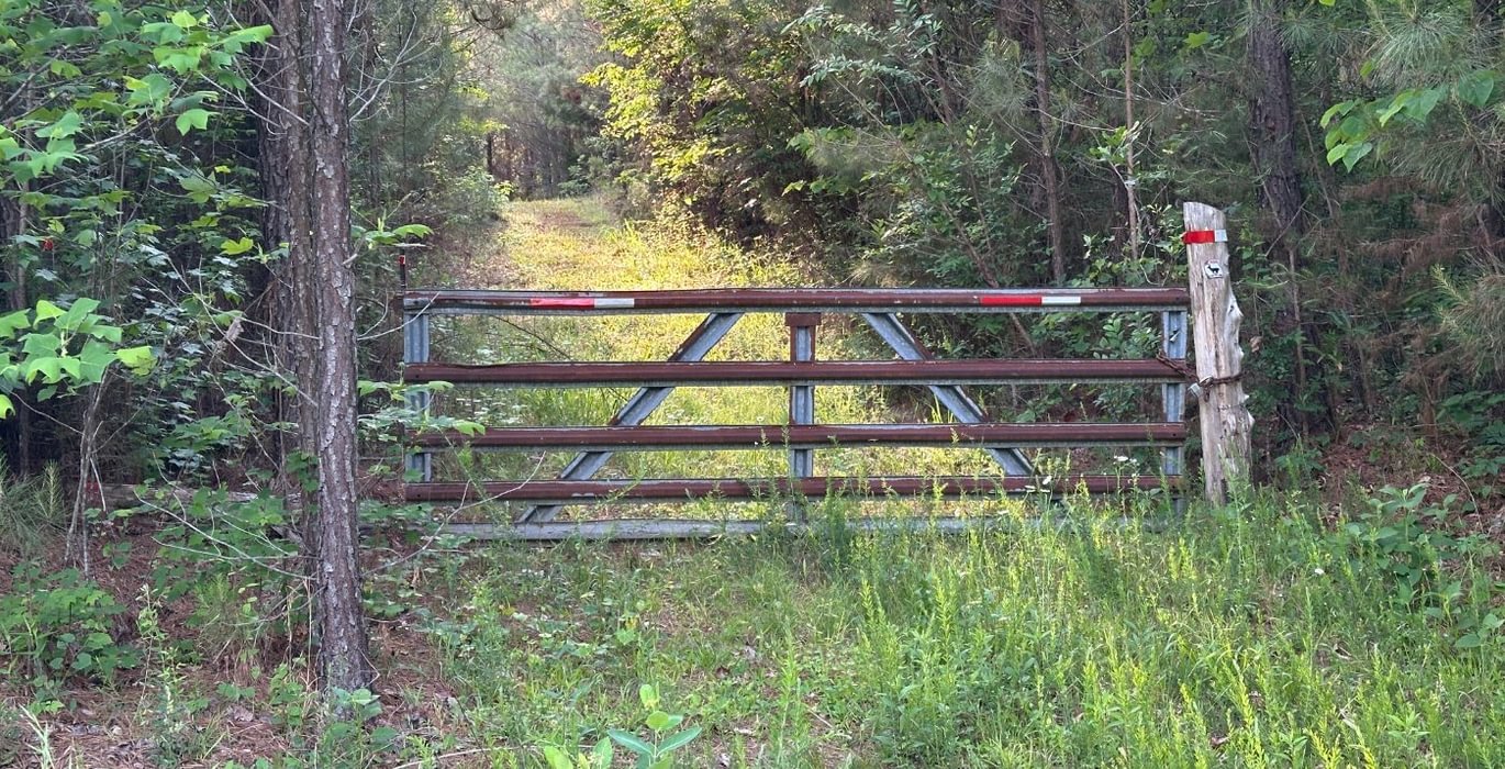 956 r IMG 0940