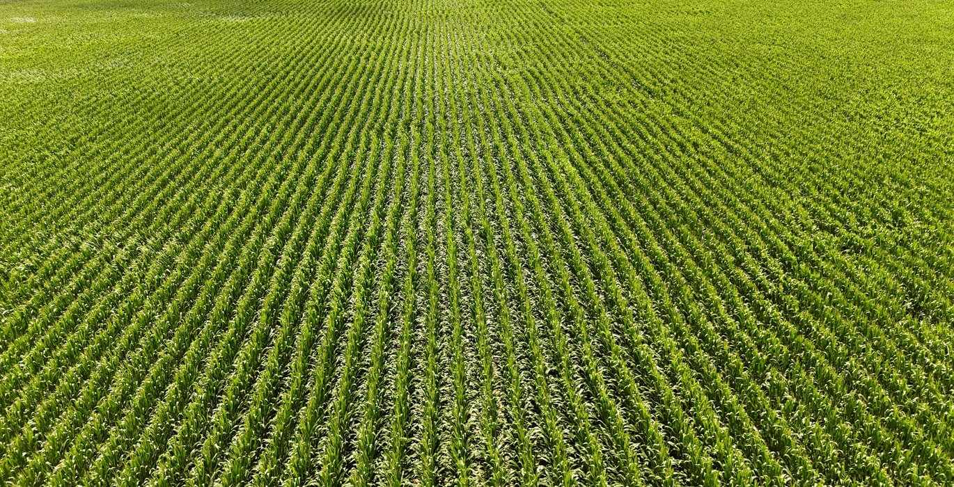 957 DJI 20250618140334 0120 D