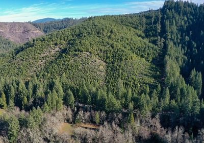 957 Photo Dec 04 2025 10 11 21 PM 13