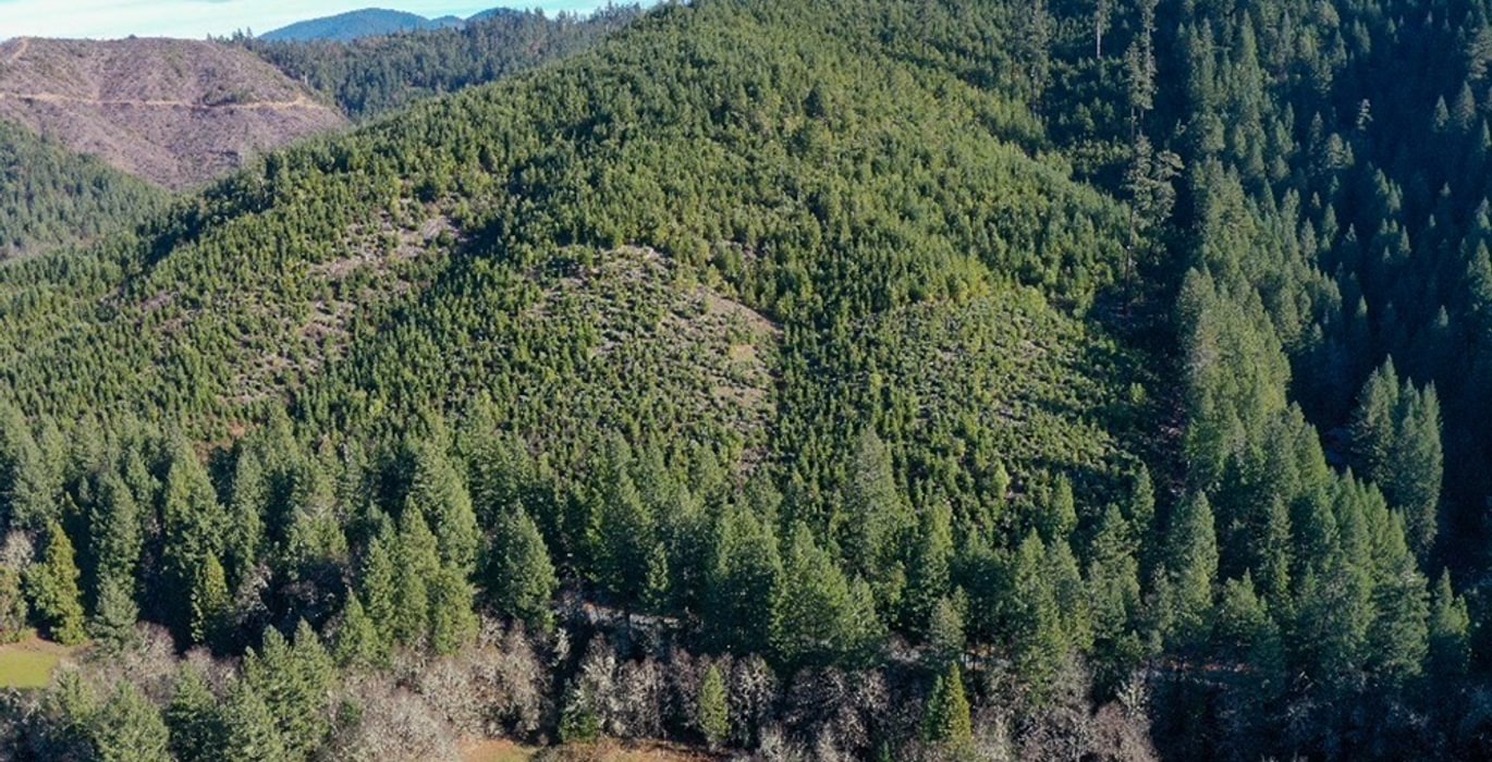 957 Photo Dec 04 2025 10 11 21 PM 13