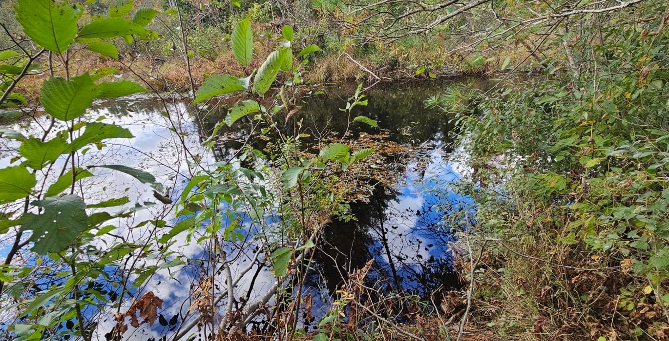 958 15 Martin Stream 3