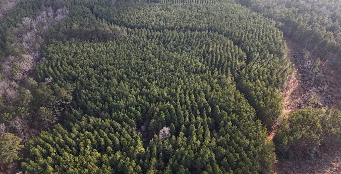 959 DJI 20260205163613 0022 D