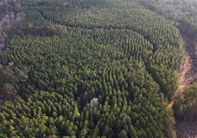 959 DJI 20260205163613 0022 D