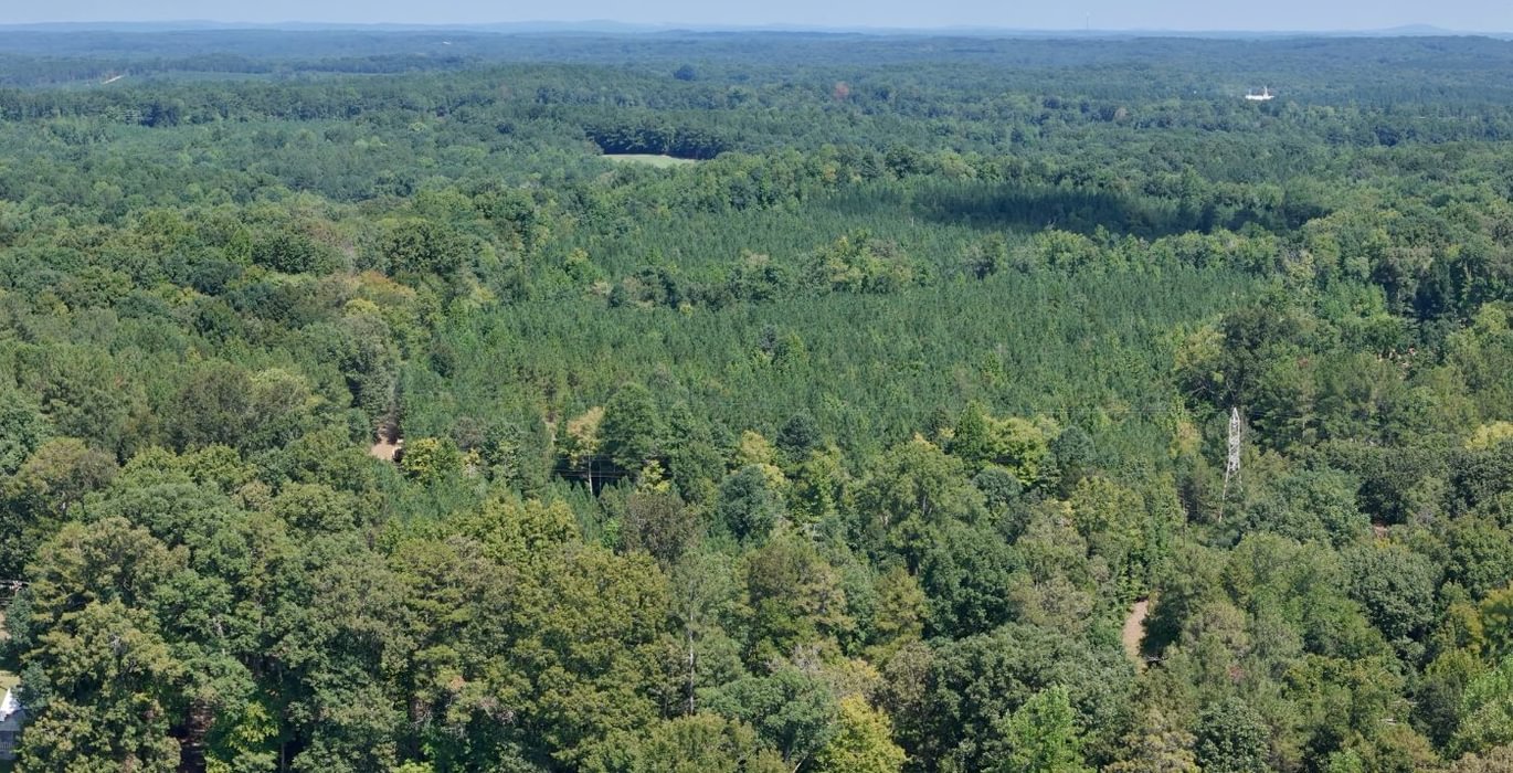 959 Simlin Creek Photo 22