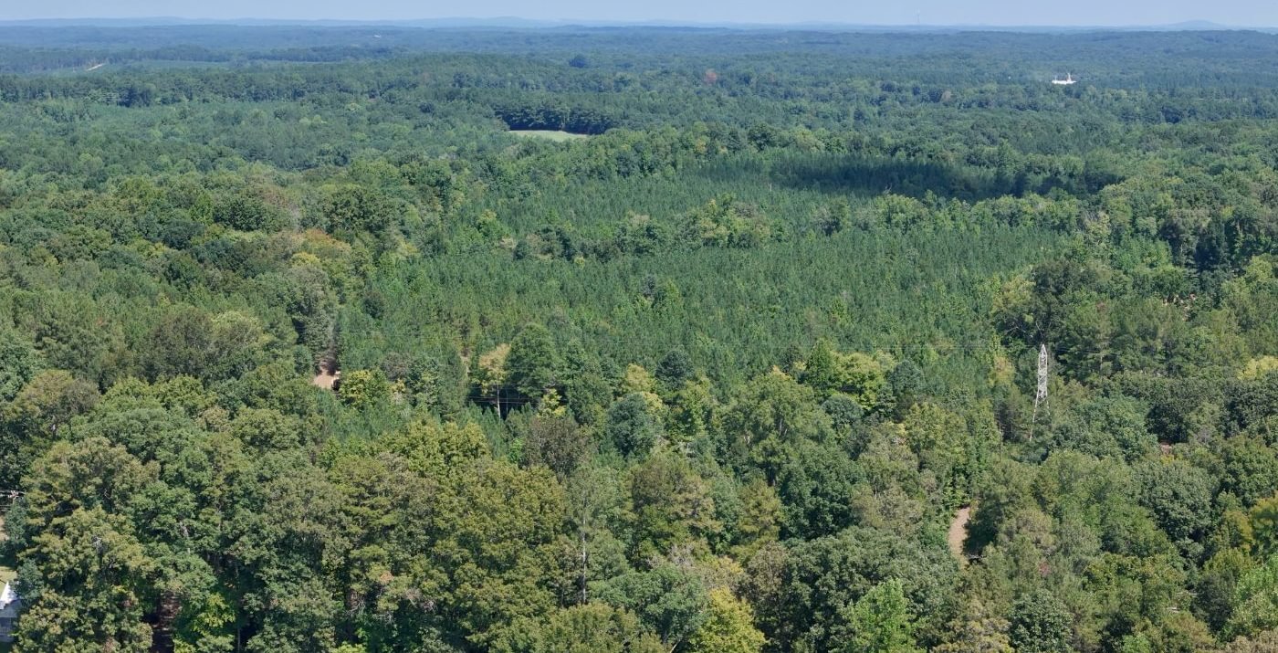 959 Simlin Creek Photo 22