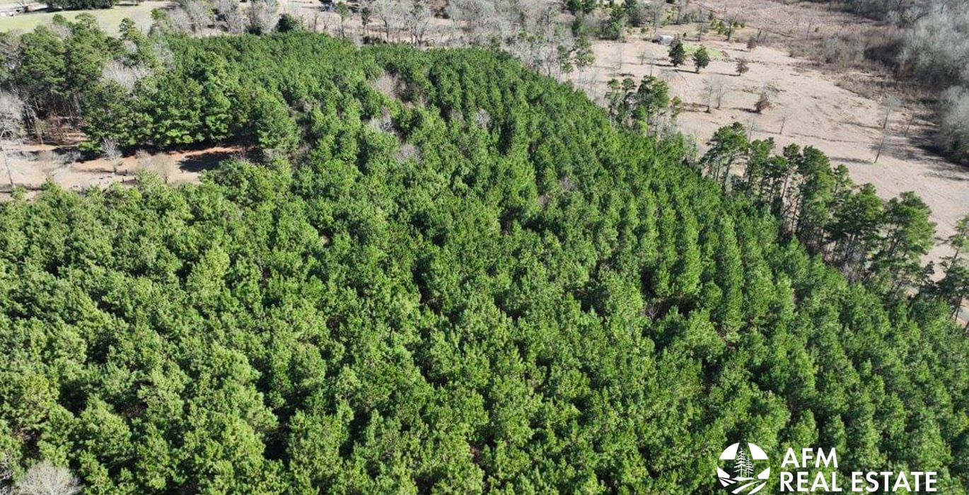 95 DJI 20250201142801 0018 V