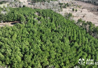 95 DJI 20250201142801 0018 V