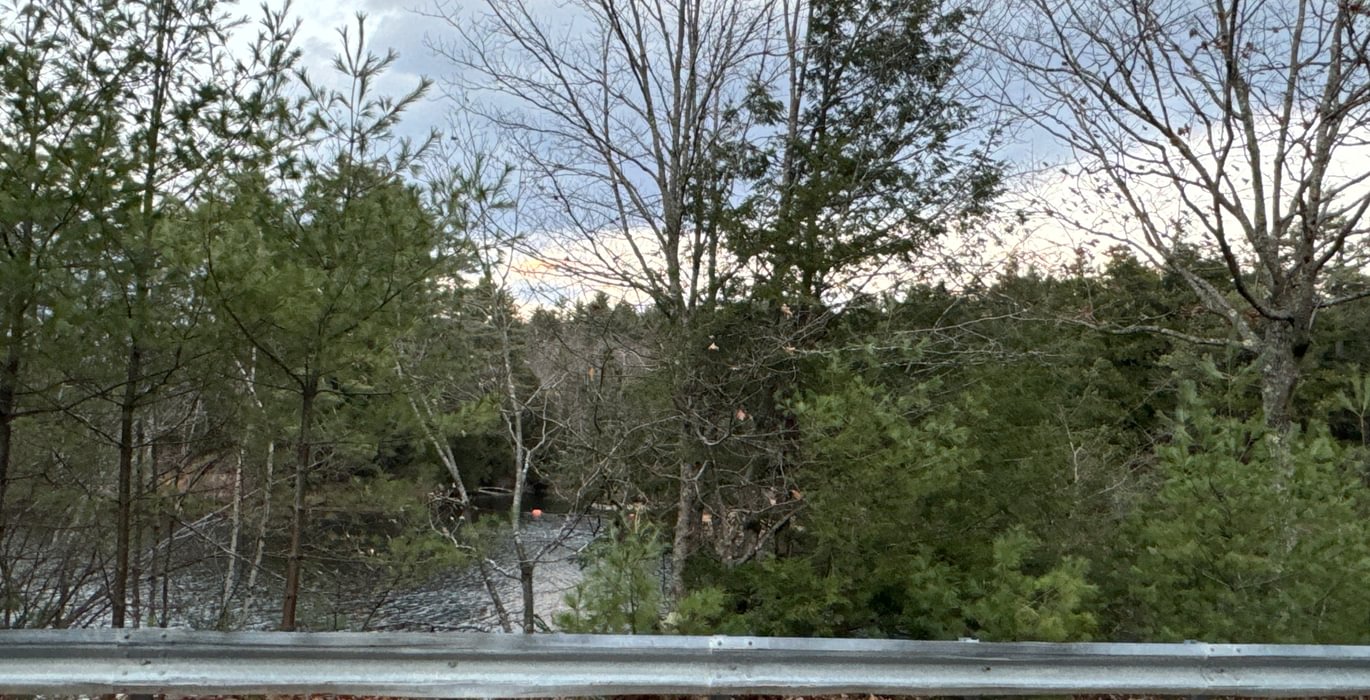 95 Saco River across the road