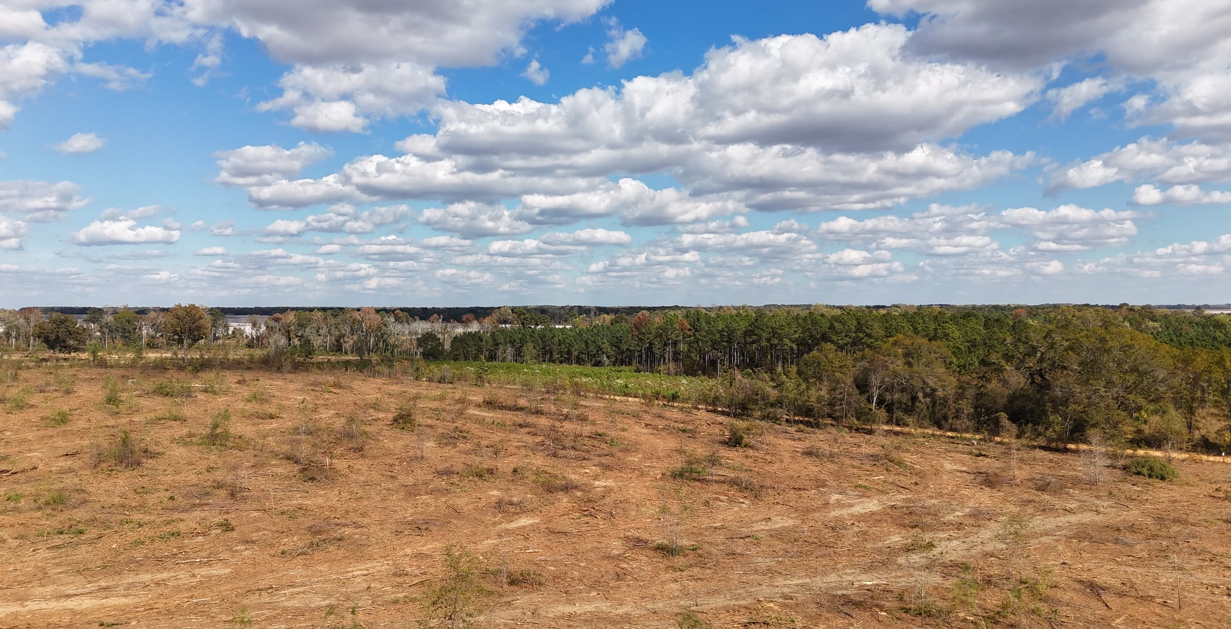 Photo 4 of Dooly County - Edwards Rd Farms, 101 acres, Dooly County, Georgia