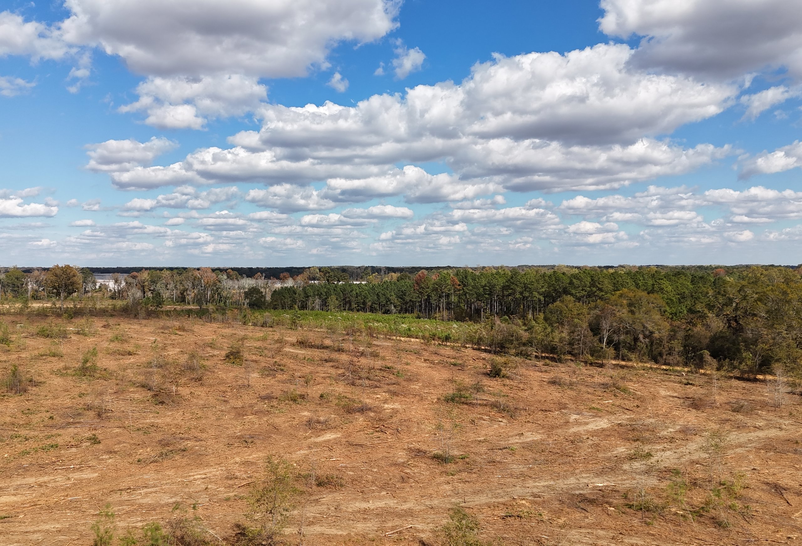 Photo 4 of Dooly County - Edwards Rd Farms, 101 acres, Dooly County, Georgia