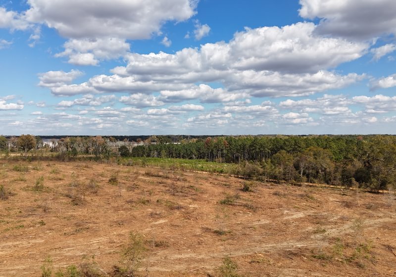Photo 4 of Dooly County - Edwards Rd Farms, 101 acres, Dooly County, Georgia