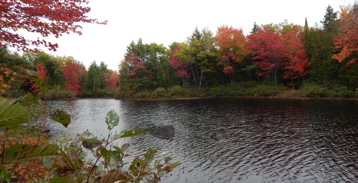 961 2017 10 08 Sherwood Pond north frontage