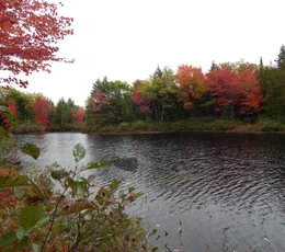 961 2017 10 08 Sherwood Pond north frontage
