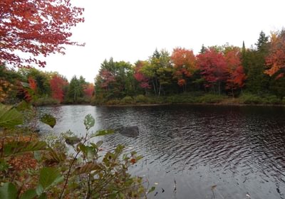 961 2017 10 08 Sherwood Pond north frontage