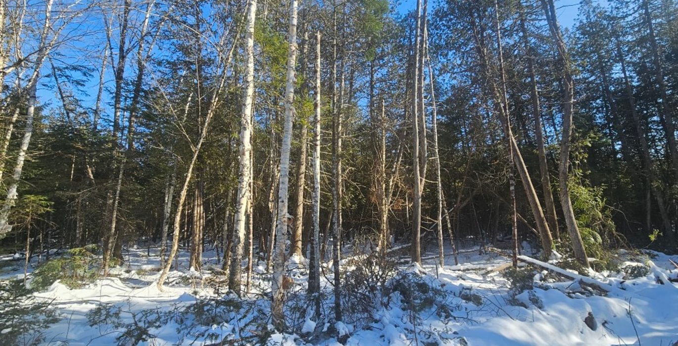 961 6 North lot