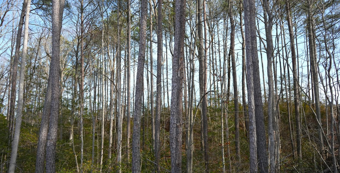 964 Church Hill pic9