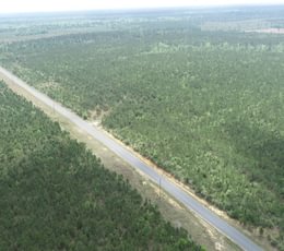 964 DJI 0268
