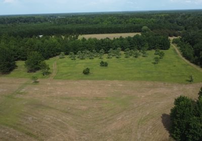 967 DJI 0963