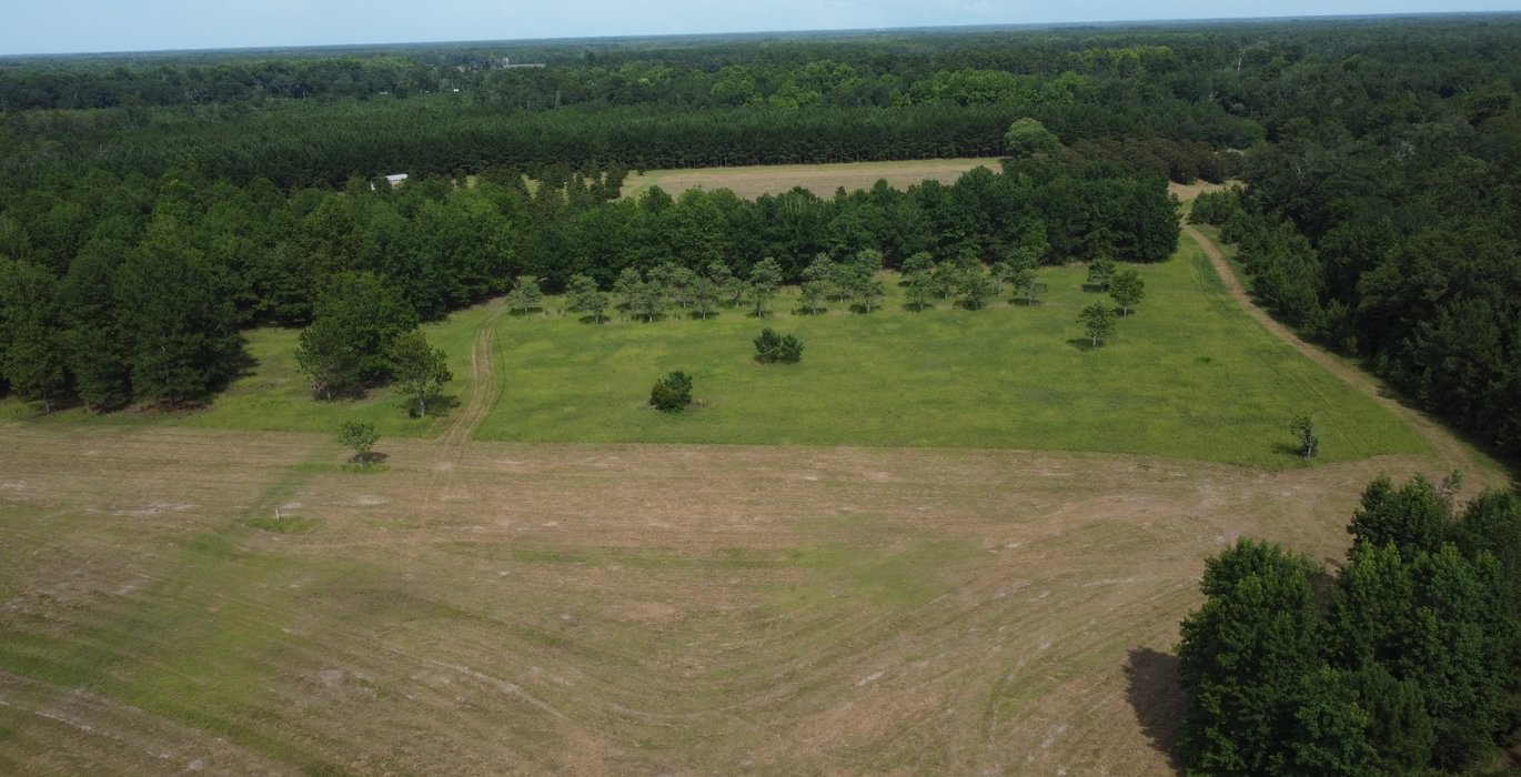 967 DJI 0963