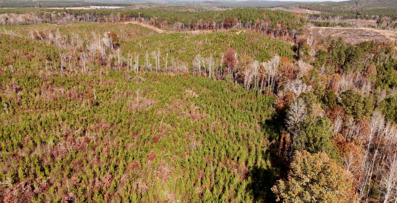 969 AFM Crump Farm Photo 3