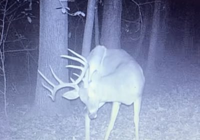 969 Screen Hunter 3765