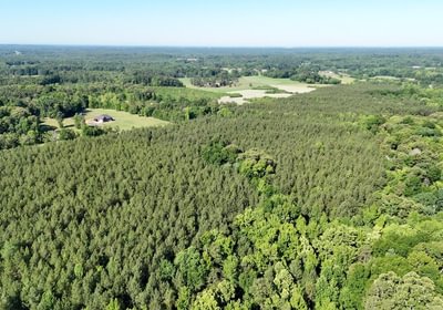 96 AFM Vineyard Road Tract A Photo 6