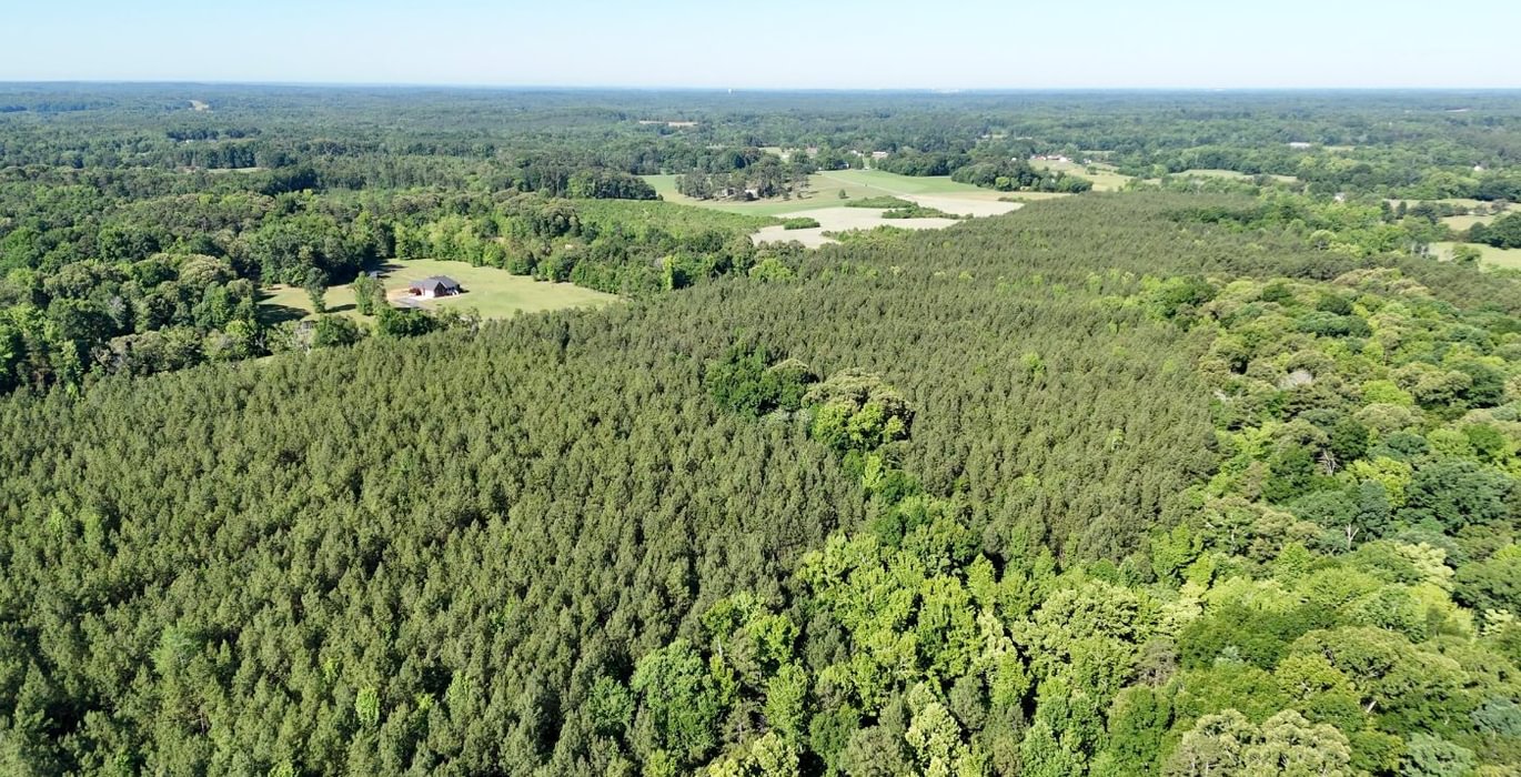 96 AFM Vineyard Road Tract A Photo 6