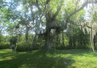96 IMG 0601