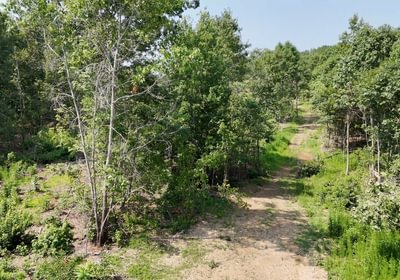 970 AFM Lambert Tract Photo 11