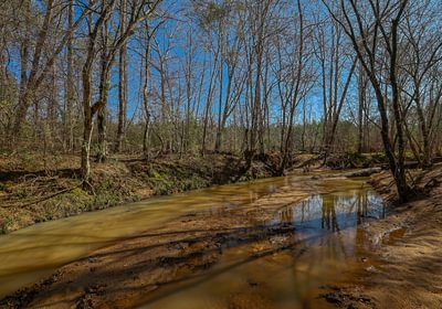 971 AFM Island Creek Farms 21