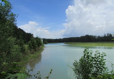 971 IMG 1067