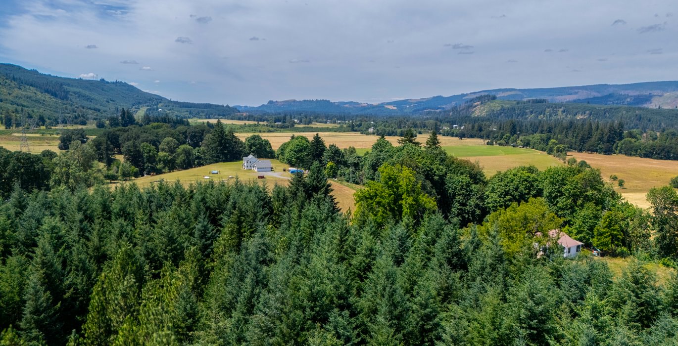 971 Valley View