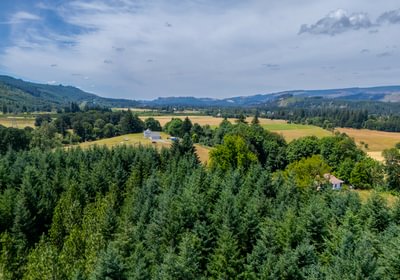 971 Valley View