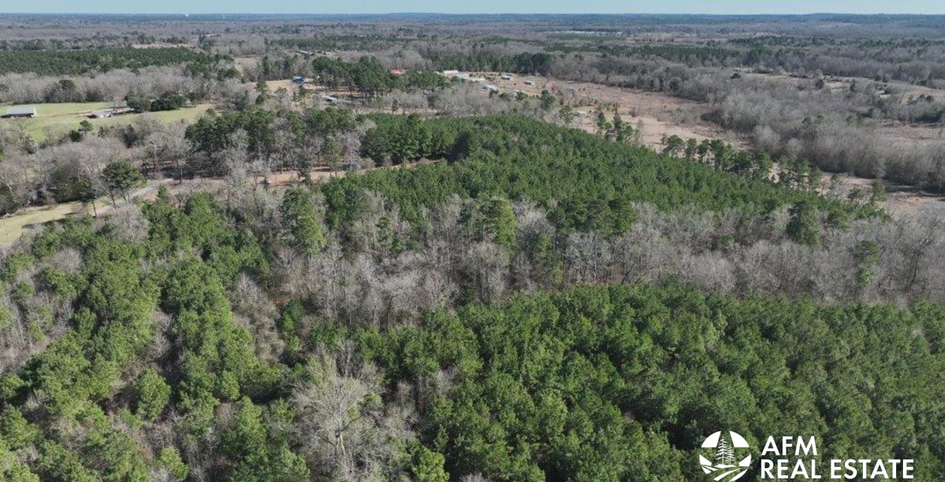 972 DJI 20250201143118 0035 V