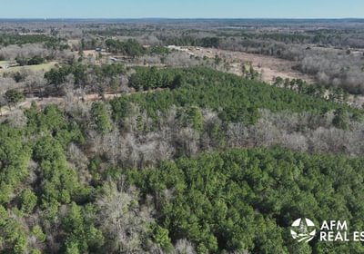 972 DJI 20250201143118 0035 V