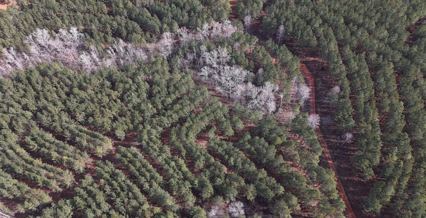 972 DJI 20260129114458 0133 D