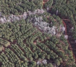 972 DJI 20260129114458 0133 D