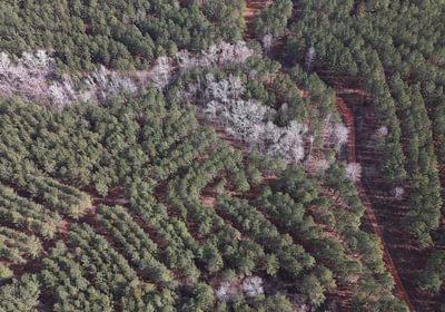 972 DJI 20260129114458 0133 D