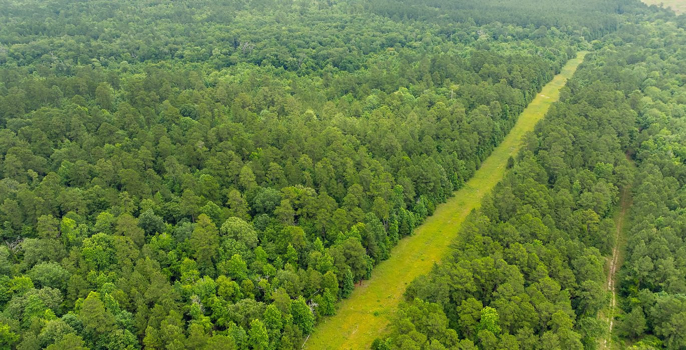 973 03 DJI 0868