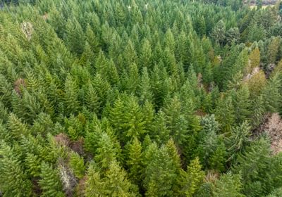 973 DJI 20260222110140 0017 D HLK