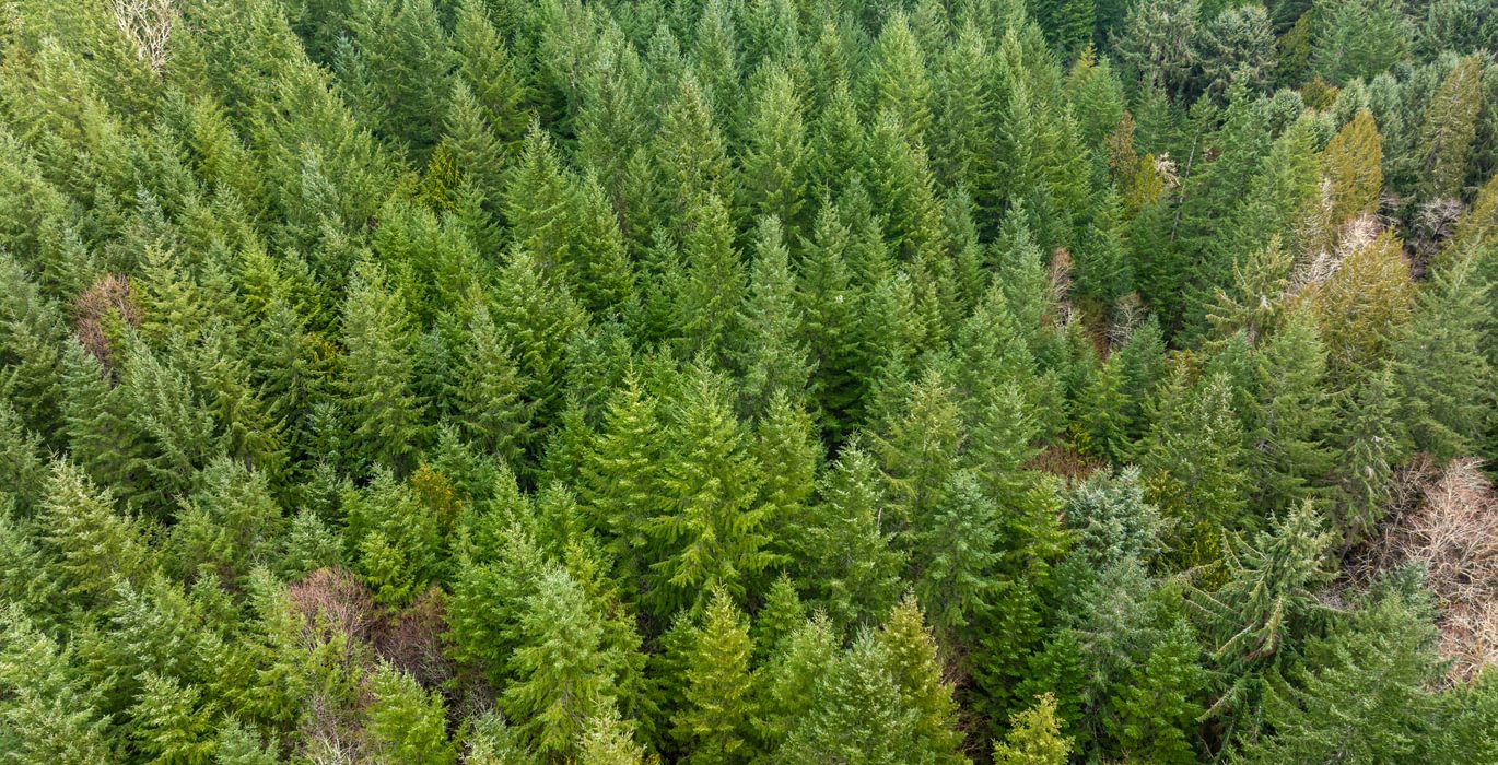 973 DJI 20260222110140 0017 D HLK