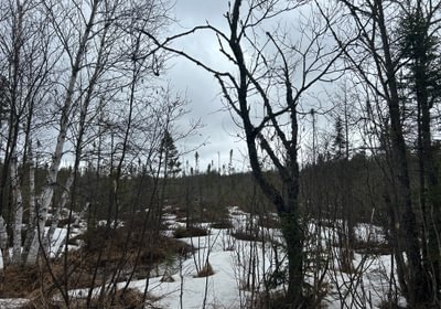 973 IMG 1610 1
