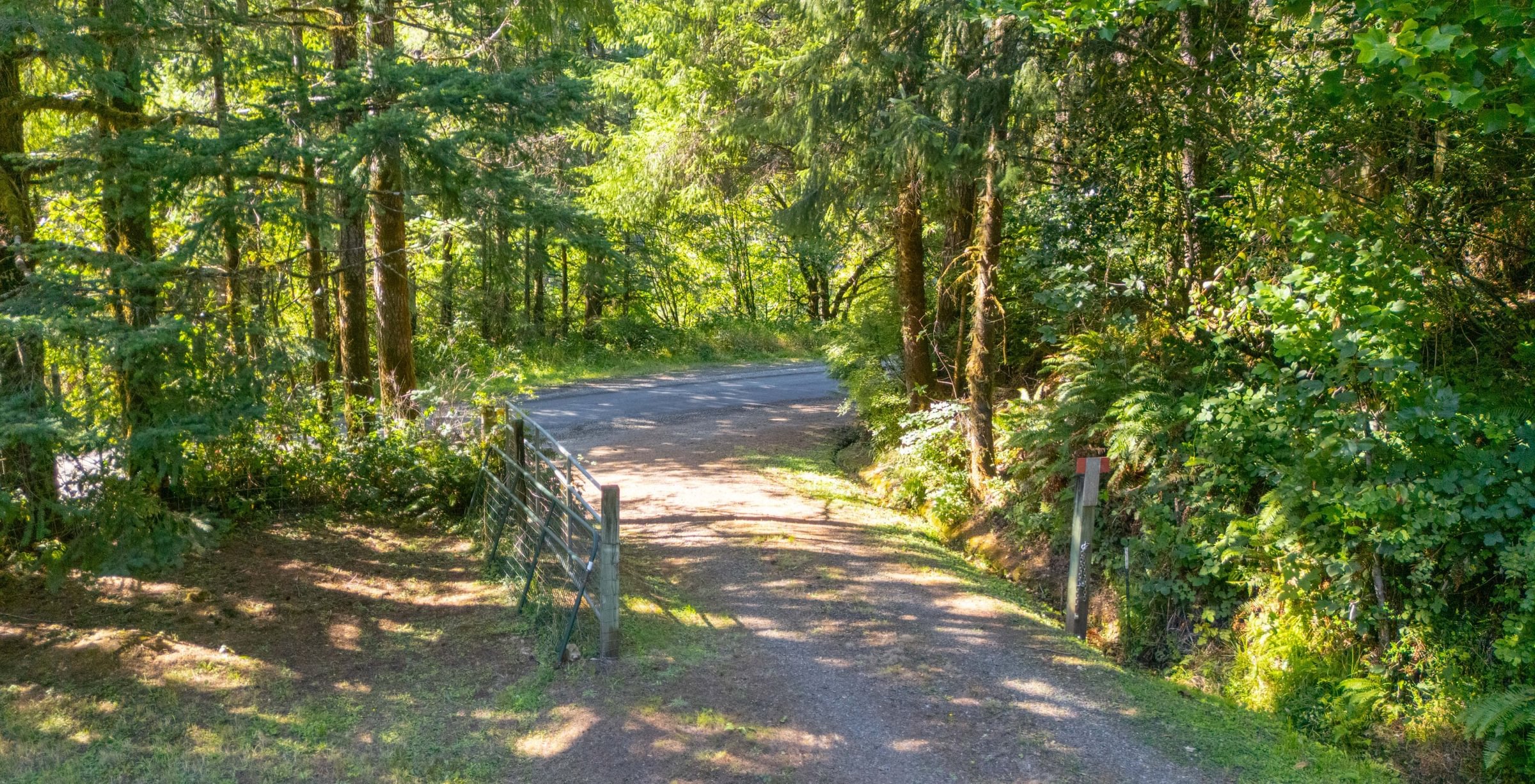 Photo 18 of Sitka Woodland, 35.37 acres, Lincoln County, Oregon